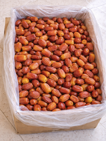 {{brizy_dc_image_alt imageSrc=